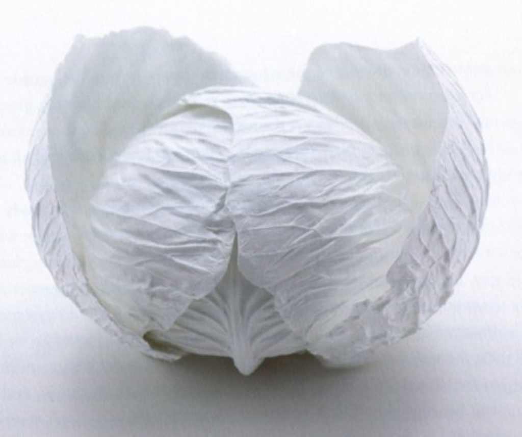 Yasuhiro Suzuki, Cabbage Bowls