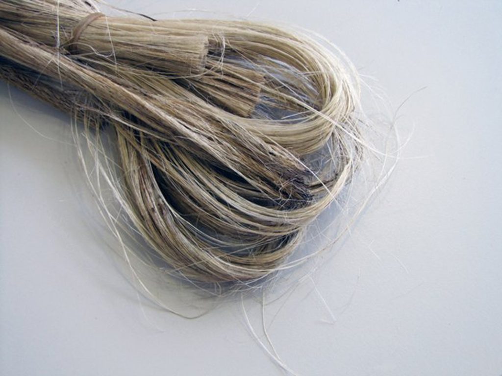 Flax fibers